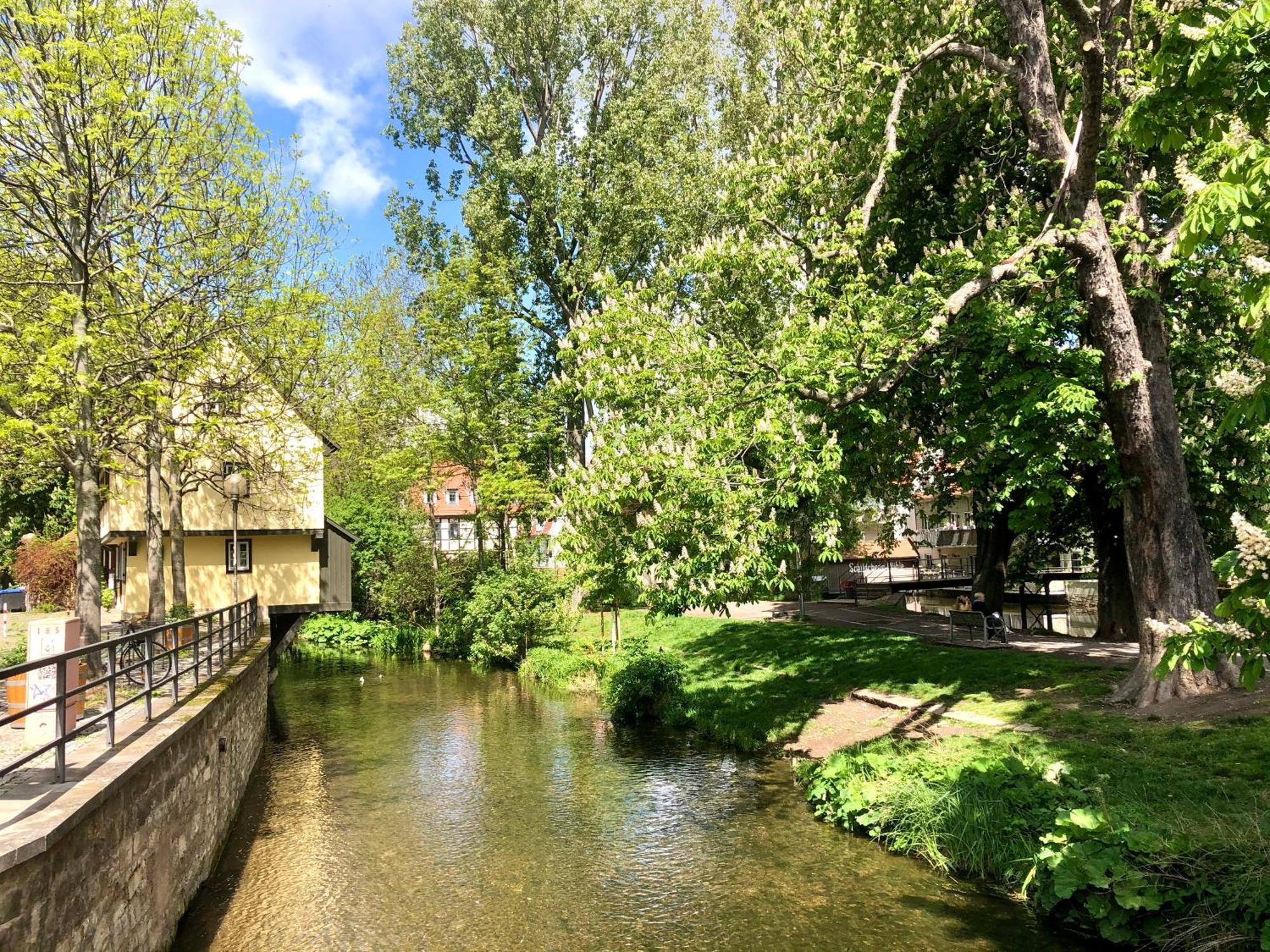 Ferienwohnung Augenblick - Stylisches Apartment In Der Besten Altstadtlage Von Erfurt Eksteriør billede